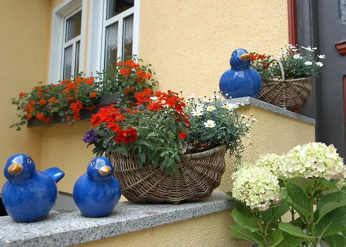 Zum Trippstein Affittacamere *